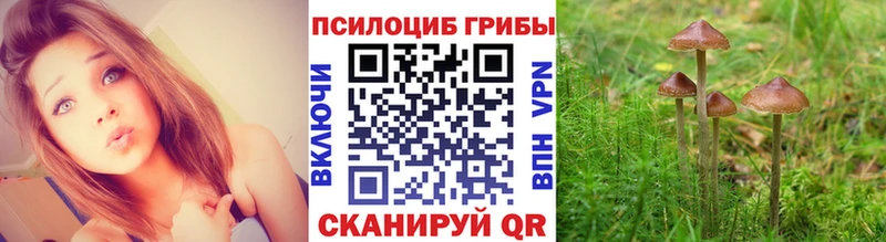 Галлюциногенные грибы ЛСД  гидра как войти  Чайковский  хочу наркоту 