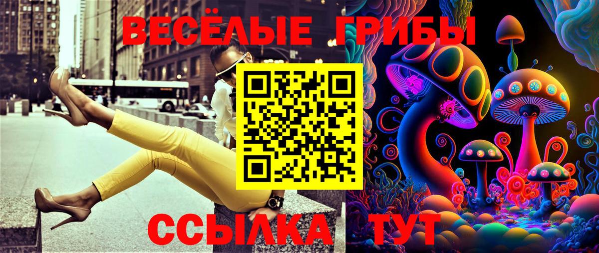 Псилоцибиновые грибы Psilocybe Чайковский